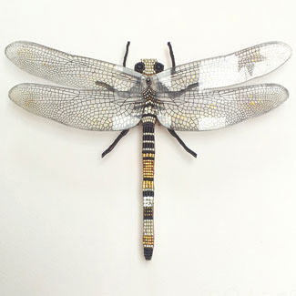 Dragonfly mosaic in frame